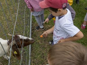 La ferme aux autruches (22/07/2014)