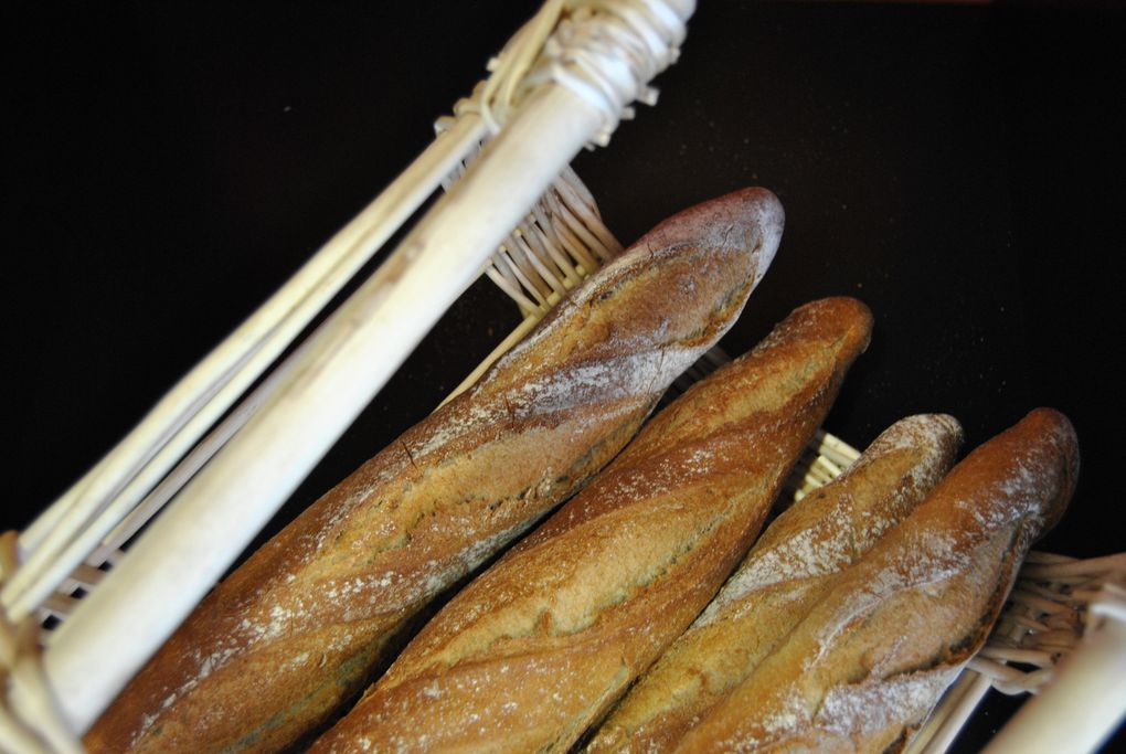 De la farine, de l'eau et du levain...
Une croûte dorée et croustillante... pour ravir votre gourmandise. Notre collection de pain,pour que chaque jour soit fait de plaisirs variés...