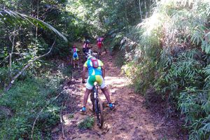 Stage de formation d'entrainement endurance