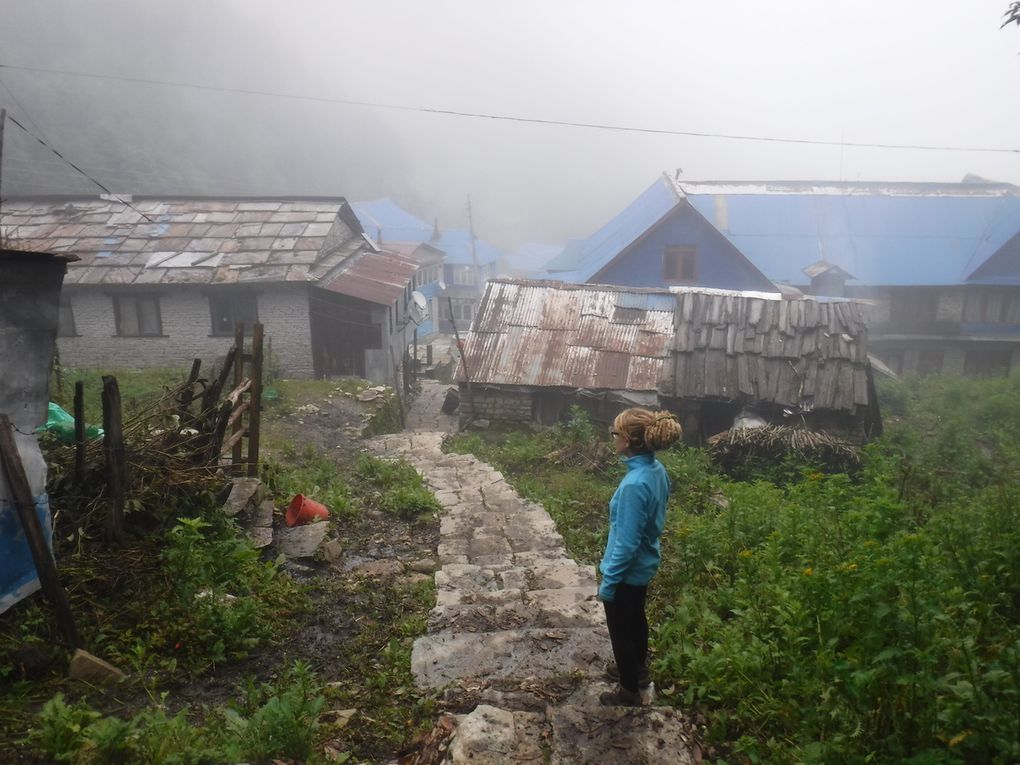 Ghorepani Ghandruk Trek