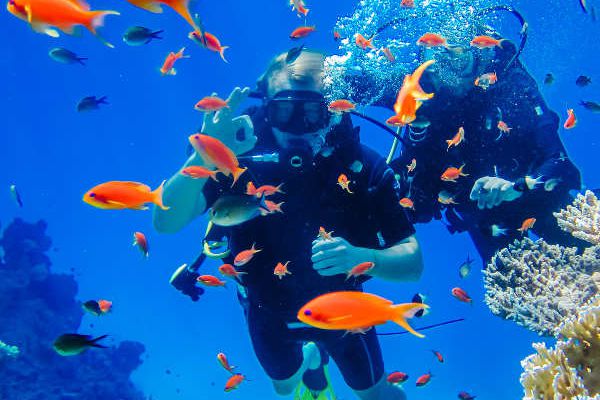 Vacaciones Mar Rojo en Egipto 