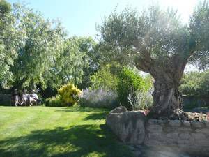 Jardin de St Adrien et Site d'Ensérune