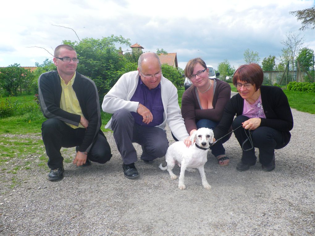 Album - CHIENS-ADOPTES-mai-juin-juillet-2012