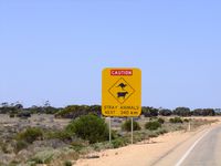 2009.12.29 - WA - Nullarbor