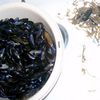 Les moules de Charron , C'est reparti