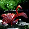 Les flamants Roses