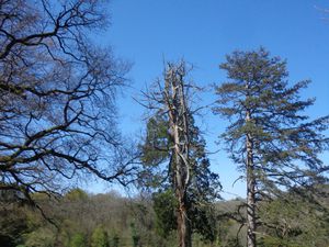 Le sentier des Combes est remplacé ??? par celui des Trois Eglises, pas facile de s'y retrouver...