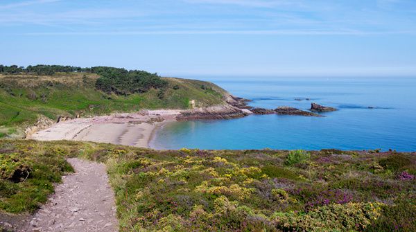 Photos prises au hasard de nos ballades à la campagne ,à la mer ou autres