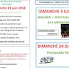 ACTIVITE DE JUIN DU COMITE