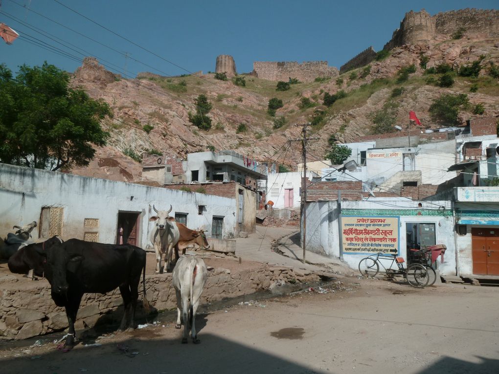 Album - Jaipur, la Ville rose