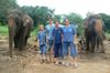 Chang Mai 5 : The elephants'day