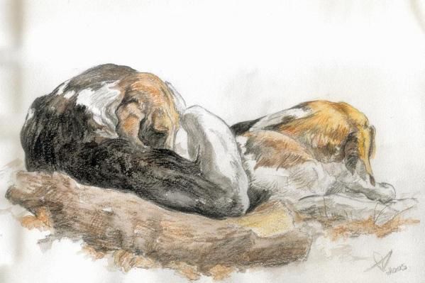 Lavis, aquarelles pastels et crayon aquarellable de chiens de meute