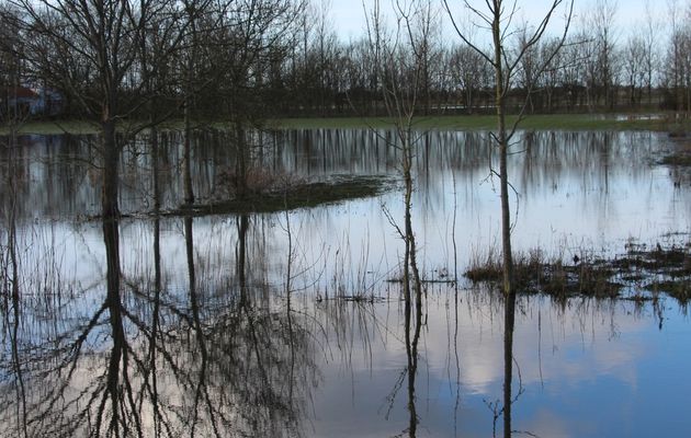 Coup de coeur au Pays du Gois