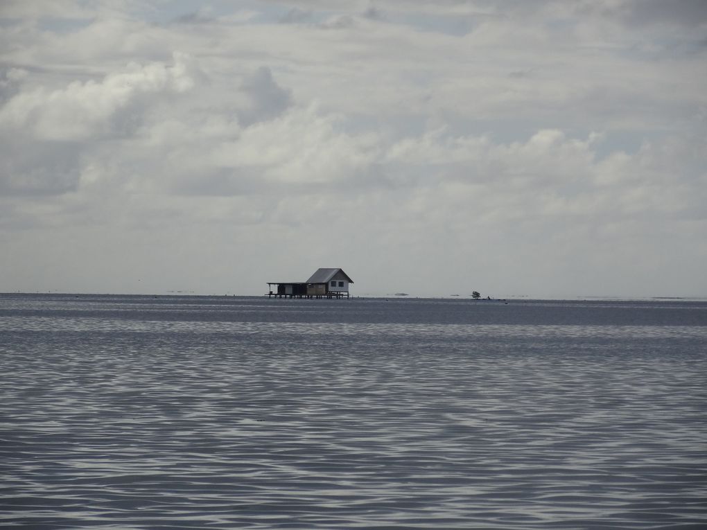 quelques plages de l'île de RAIATEA
1.plage du Marae TAPUTAPUATEA(les enfants ont pieds jusqu'au récif)