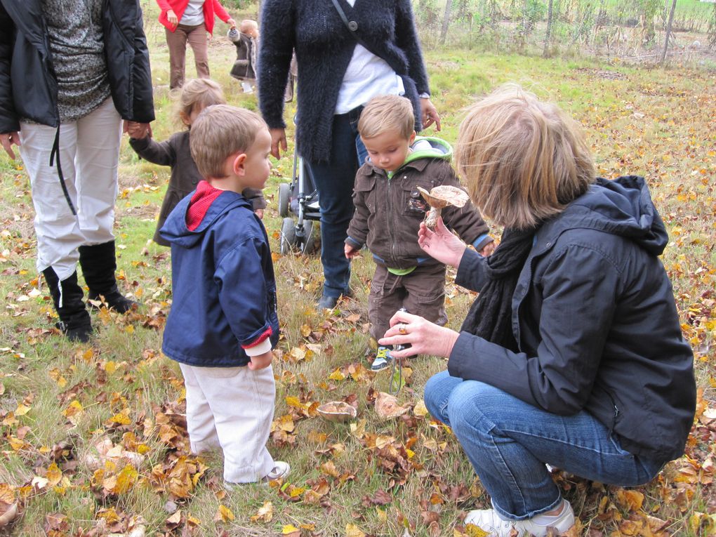 Halloween a été l'occasion d'organiser diverses activités seule ou avec le relais et d'autres assistantes maternelles: peinture,visite du jardin collectif de Montberon, animation musicale avec Véronique.