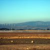 Coup de vent sur Port Leucate