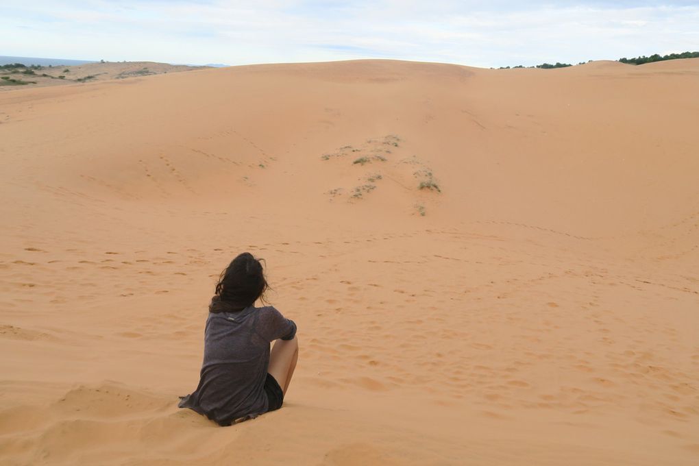 Les dunes de sable rouge 