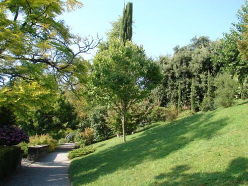 Album - jardin botanique