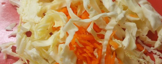 Insalata di verza e carota con olio, aglio e acciuga