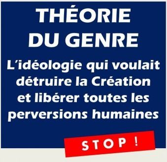 IL ou ELLE d'après l'histoire pressée de Bernard FRIOT