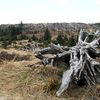 Au Massif des Blanches Roches: le Col de Prayé