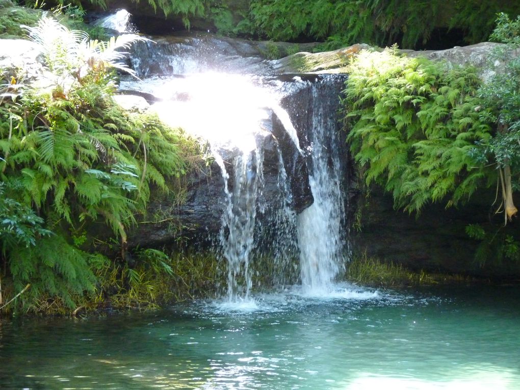 Ranomafana, Anja, Isalo : les 3 parcs que nous avons découverts le long de la RN7.