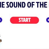 The sound of the day 6e