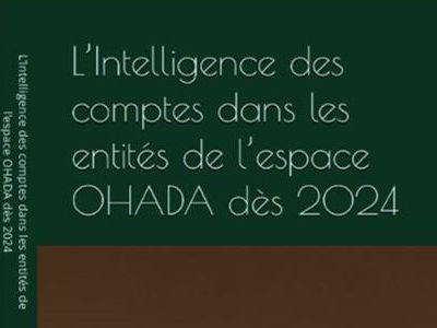 LIVRE : L’Intelligence des comptes dans les entités de l’espace OHADA dès 2024 !