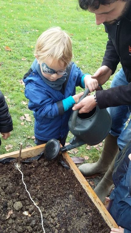 Nous avons arrosé nos plants.