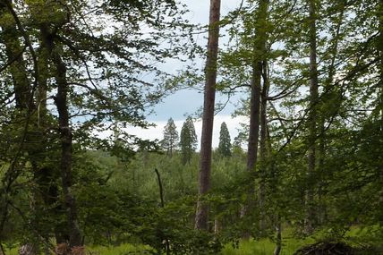 Rando-geocaching-découverte