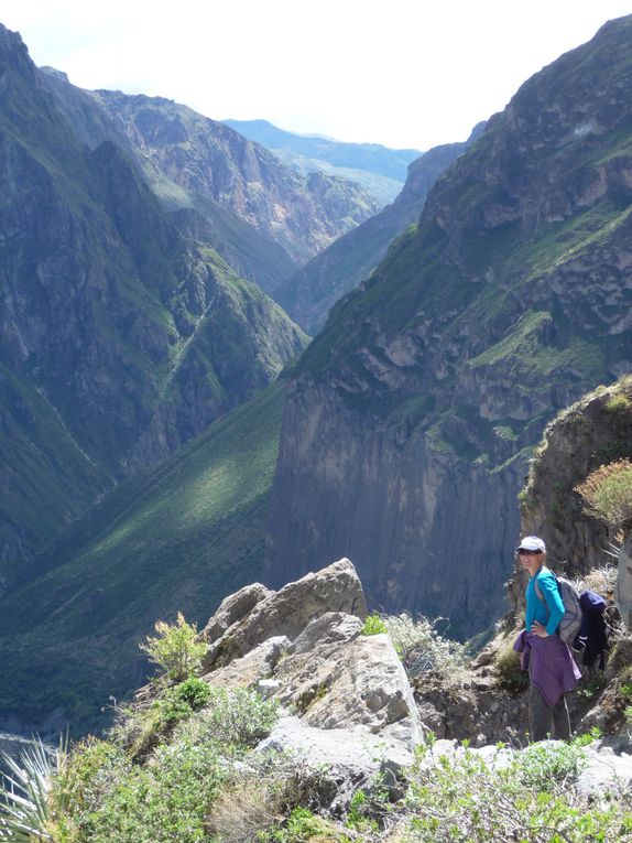 Album - 43.Canyon de Colca (Perou-Janvier)