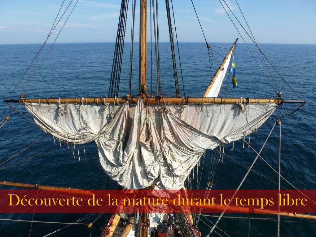 Voici les dix jours durant lesquels nous avons navigué vers Rouen et son Armada. Faisant route plus vite que prévu, nous passerons une demi journée devant l'Ile de Wight et une autre à l'ancre, à l'entrée de la Seine.