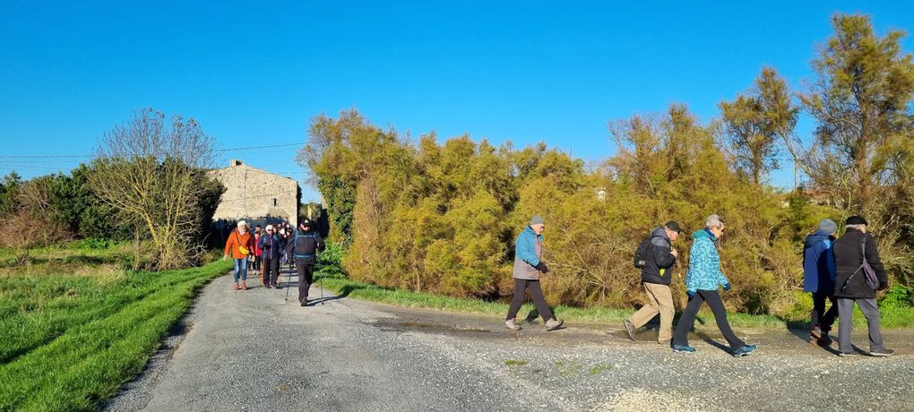 PHOTOS DE LA MARCHE DE LAU'RANDO DU 3 DECEMBRE