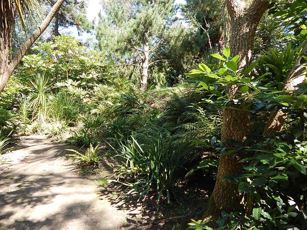 Cotentin: Le Jardin botanique de Vauville