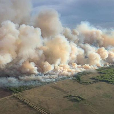 Le règne du feu...