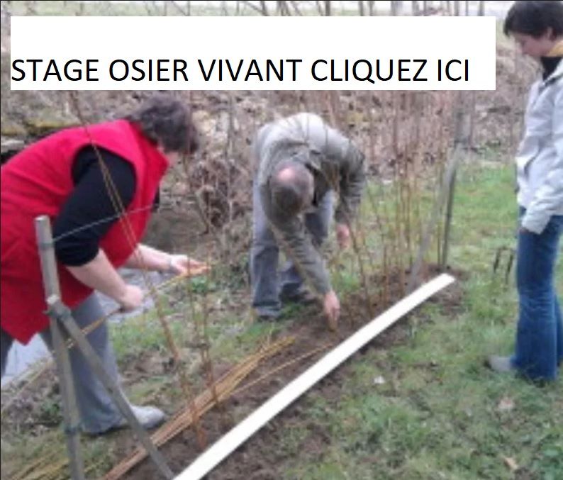 cours d'osier vif satge osier vivant formations osier vivant vous découvrirez l'art de créer une haie en osier vivant. Vous tresserez une bordure osier de pelouse ou de jardin et fabriquerez en osier une tontine osier pour faire grimper les plantes.