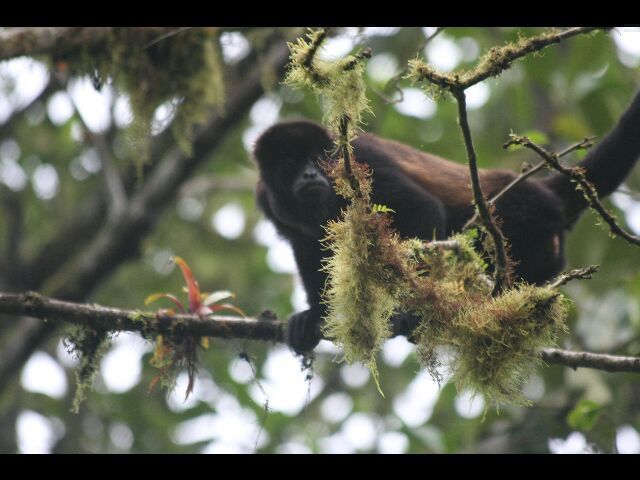 Album - PUERTO-LOPEZ