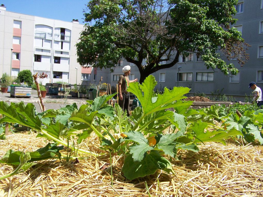 Mat'Livre : Participation à un ouvrage collectif sur les coopératives d’habitants