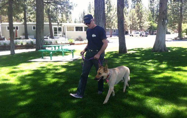 find a dog trainer near me Yucaipa