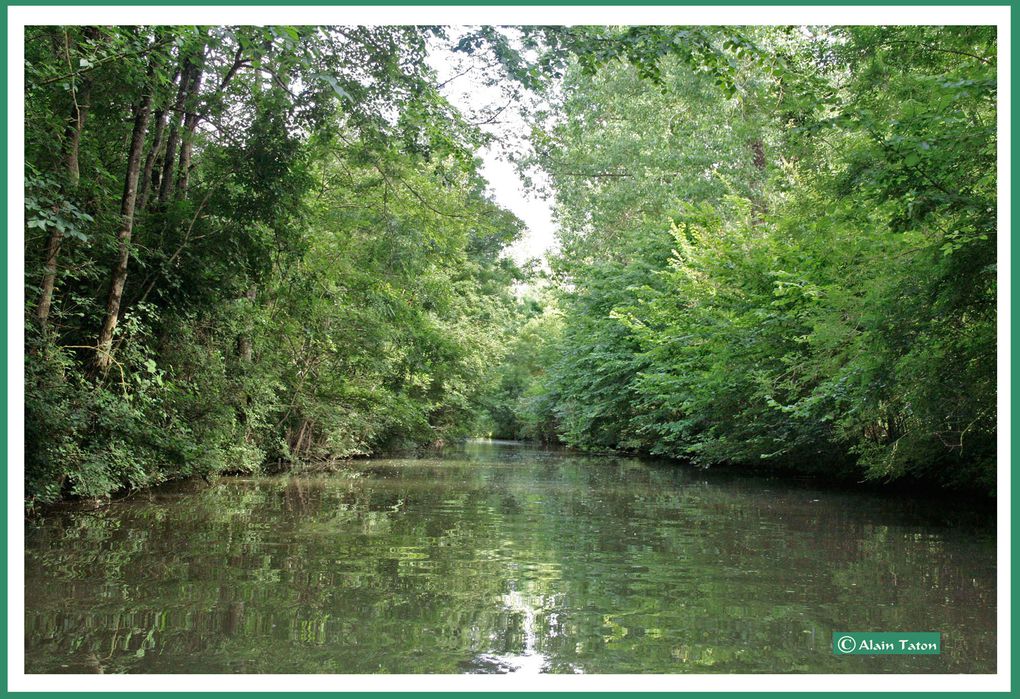 Album - le-marais-Poidevin