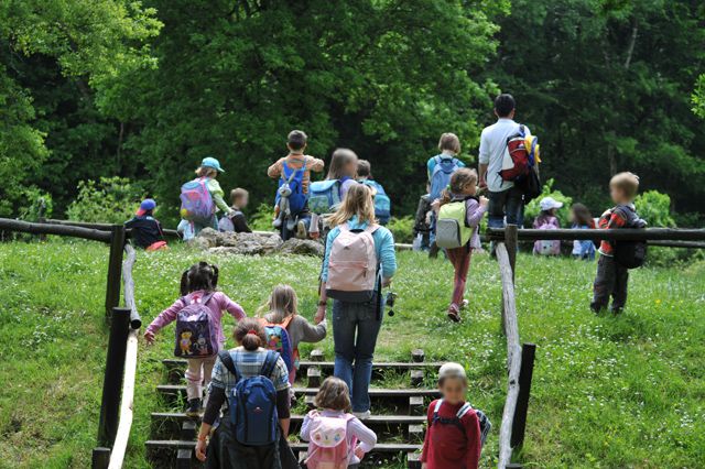 Sortie des classes de maternelle au zoo de Chizé dans les Deux-Sèvres