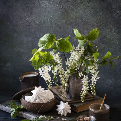 Gourmandises - Nourriture - Café - Sucre - Meringues - Fleurs - Lilas - Douceurs - Photographie -  Wallpaper - Free