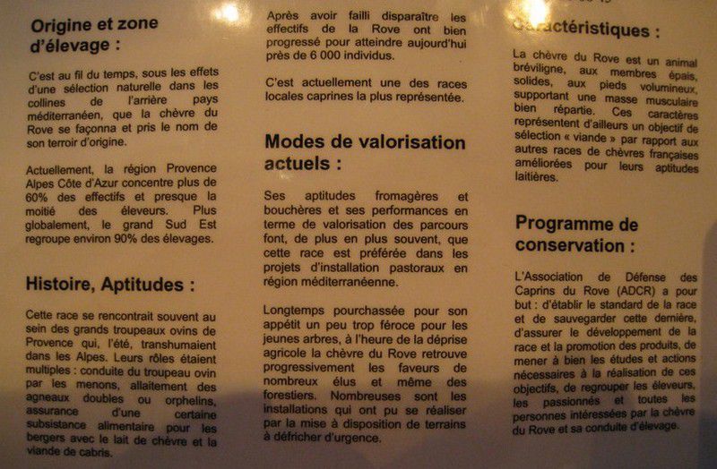 Promenades parmi les animaux présents au Salon de l'Agriculture 2009