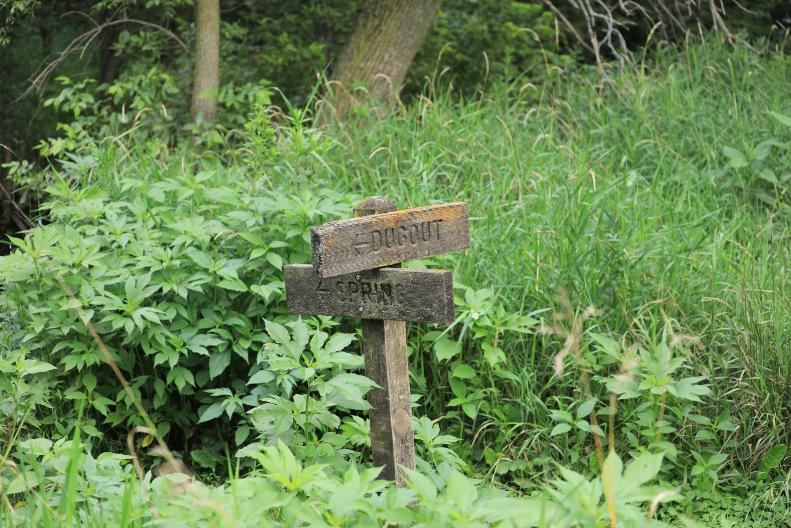 Little House TV Cast Reunion, 50th Anniversary, July 19-21, 2024. Walnut Grove, MN. A la rencontre des acteurs de la Petite Maison dans La Prairie (Little House on the Prairie)...