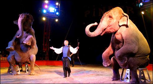 &quot;Le cirque s'invite au 36&quot; Emmanuel Varle