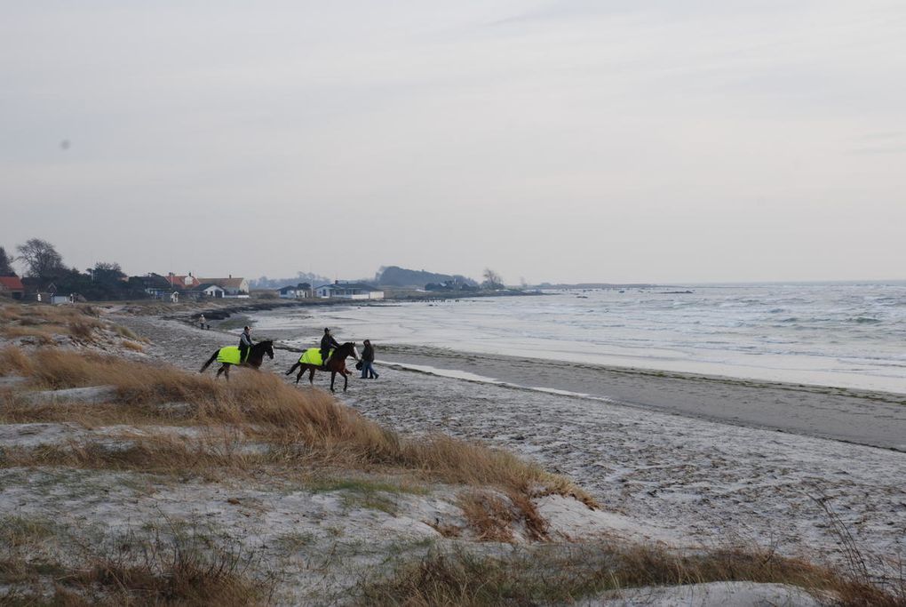 Album - Suède, la plage, l'hiver