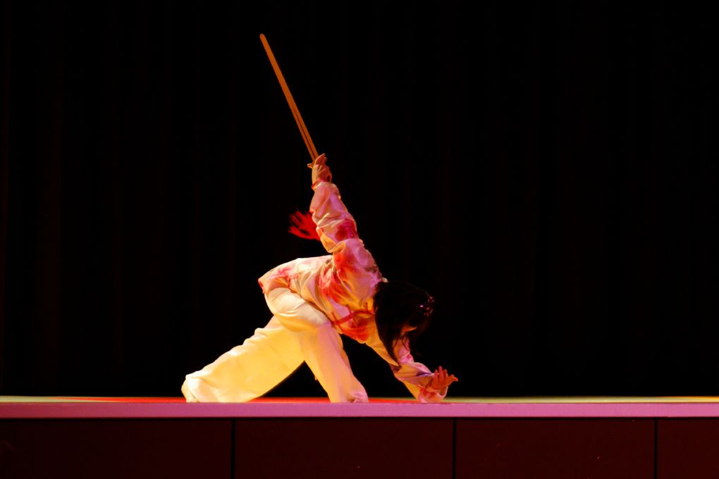 Album - Gala-Arts-martiaux-Tatami-et-Zenitude-2013