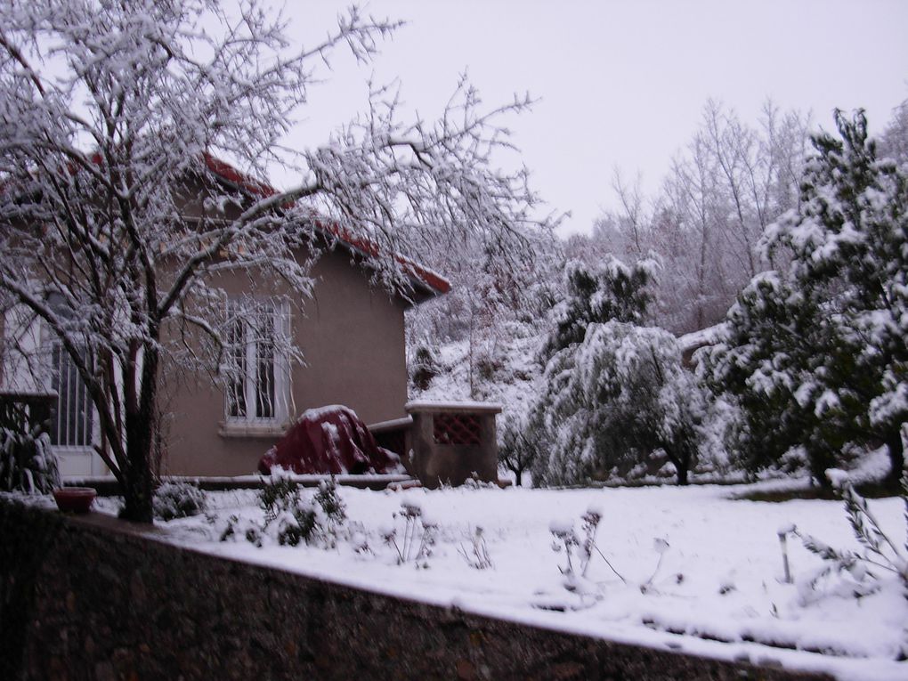 Poésie du matin