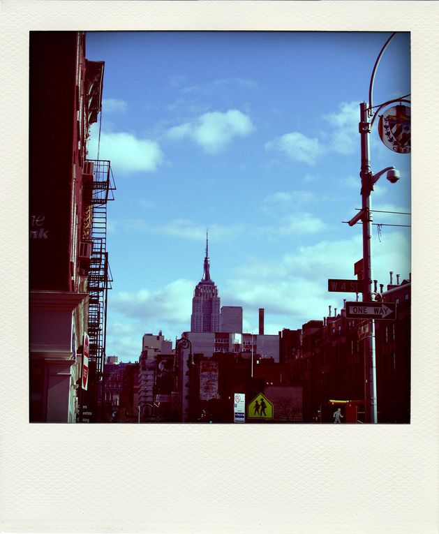 Album - NEW-YORK-POLA