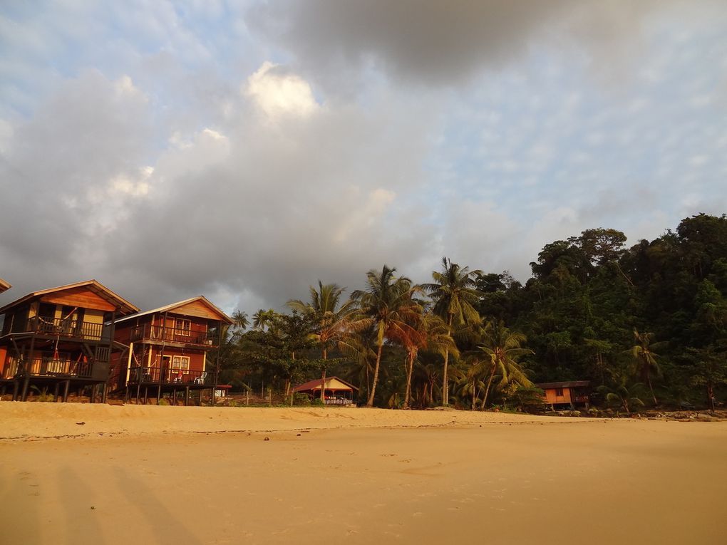 30.01 - &quot;MAGIC!&quot; in Tioman